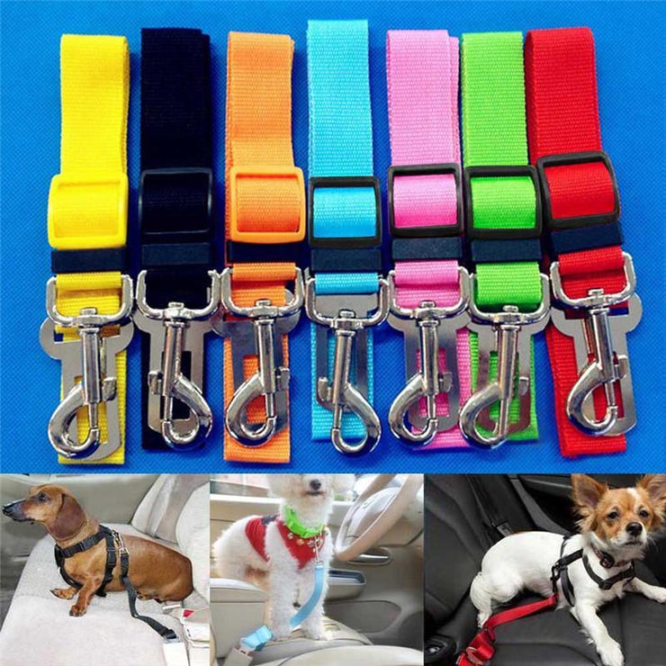 Adjustable Seatbelt Leash for Puppies - Urban Village Co.