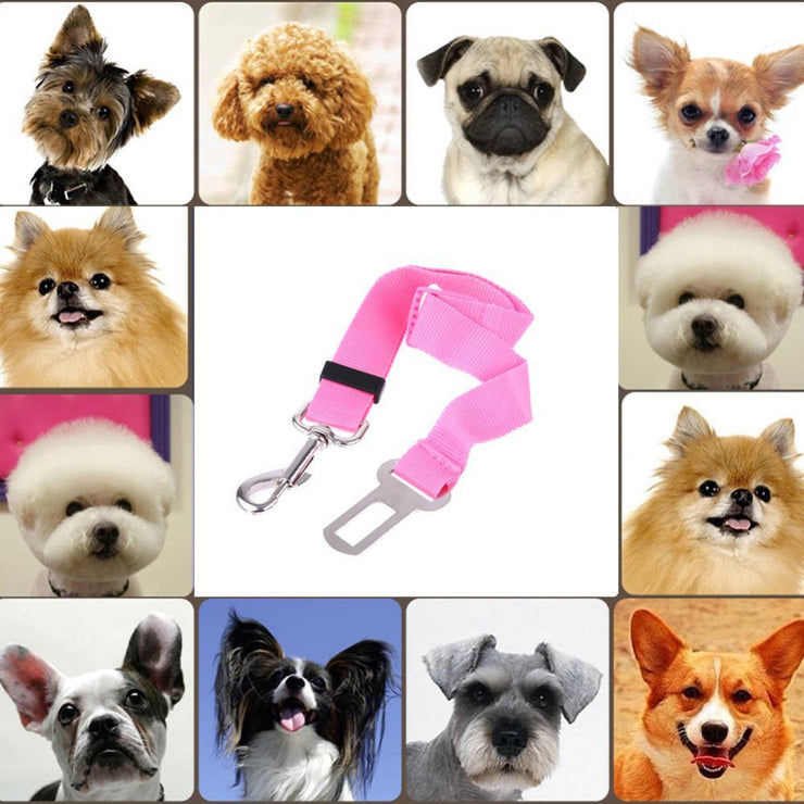 Adjustable Seatbelt Leash for Puppies - Urban Village Co.