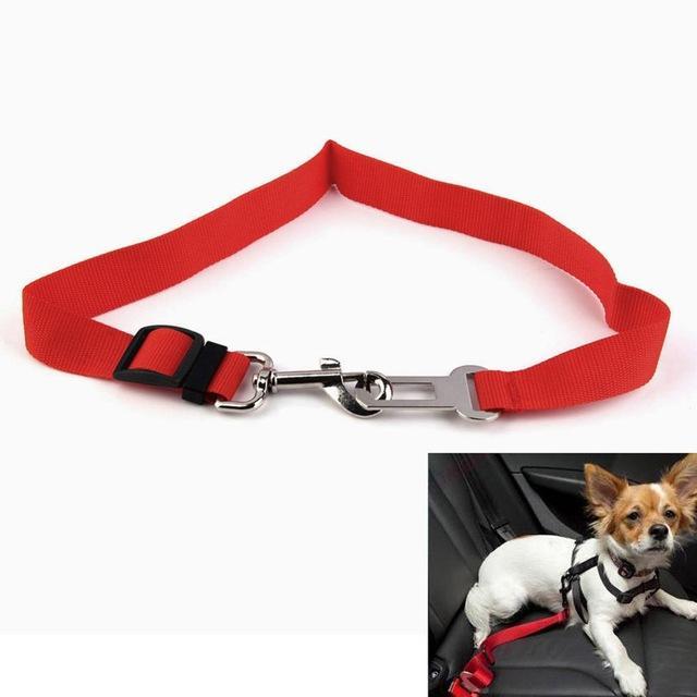 Adjustable Seatbelt Leash for Puppies - Urban Village Co.